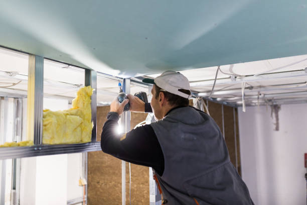 Best Cellulose Insulation  in Pineville, LA