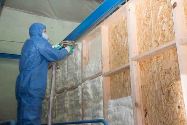 Best Spray Foam Insulation  in Pineville, LA