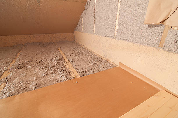 Best Insulation Inspection Services  in Pineville, LA